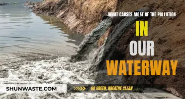 Unveiling the Hidden Sources: Why Waterways Suffer from Pollution