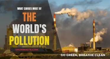 Unveiling the Hidden Sources: Global Pollution's Surprising Causes