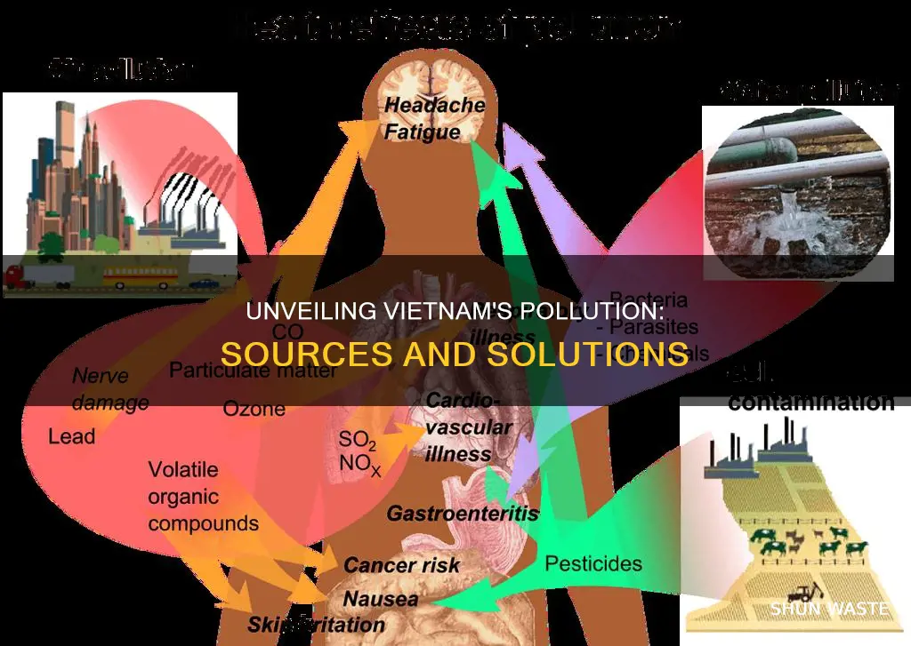 what causes most pollution in veitnam