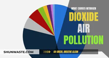 How Nitrogen Dioxide Pollutes Our Air