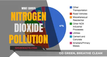 Unveiling the Sources: Understanding Nitrogen Dioxide Pollution