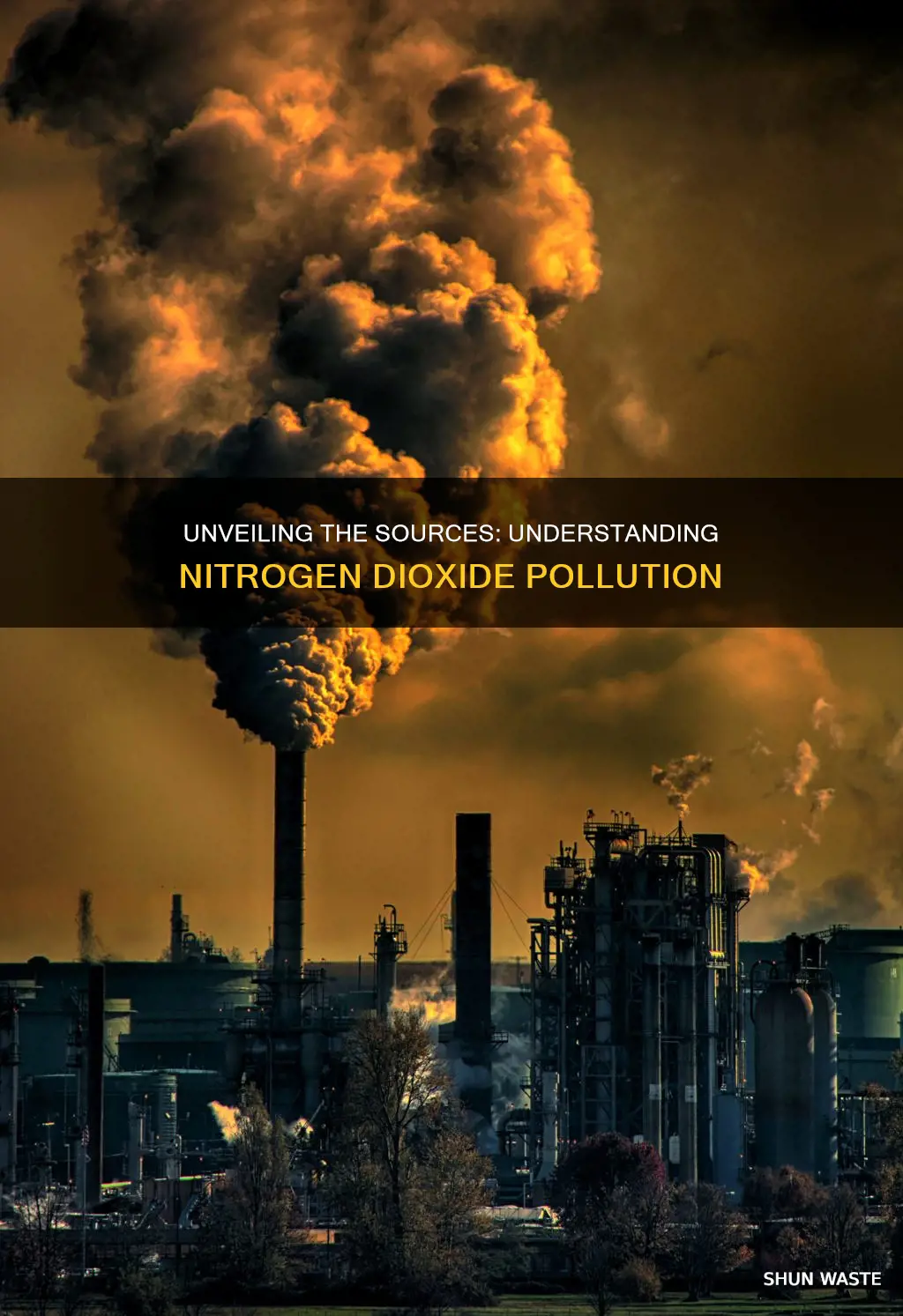 what causes nitrogen dioxide pollution