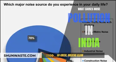 Unveiling India's Noise Pollution Crisis: Sources and Solutions