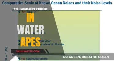 Uncovering the Sources: Why Water Apes Face Noise Pollution