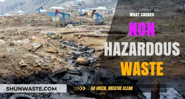 Understanding the Origins of Non-Hazardous Waste: A Comprehensive Guide