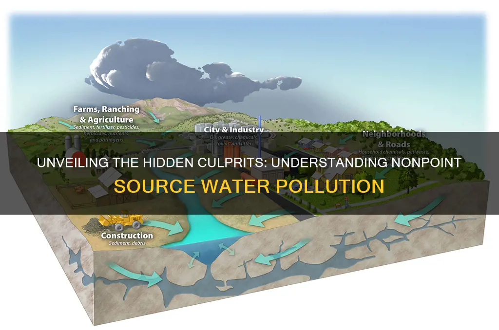 what causes nonpoint source water pollution