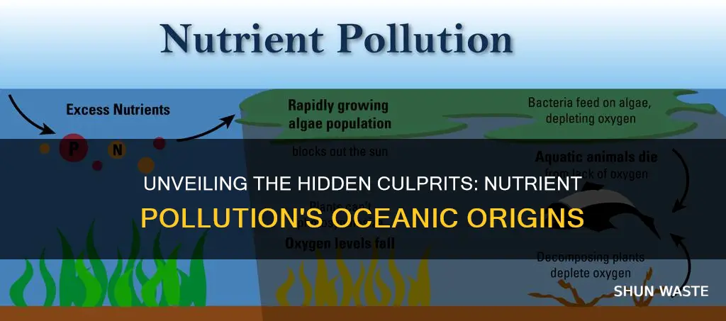 what causes nutrient pollution in ocean