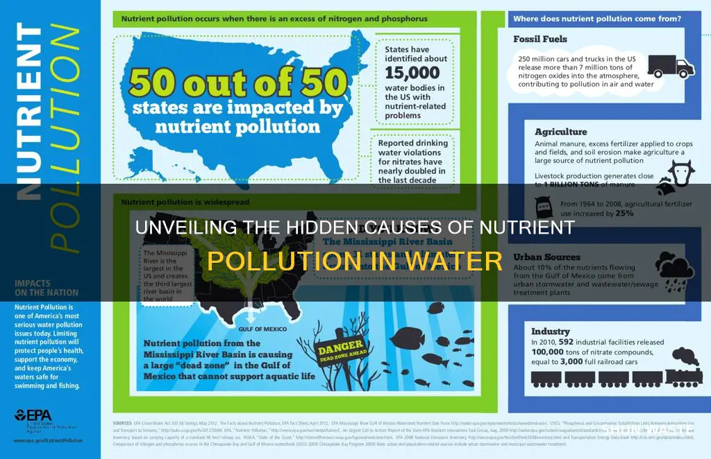 what causes nutrient pollution in water