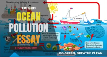 Unveiling the Sources: Understanding Ocean Pollution's Complex Causes