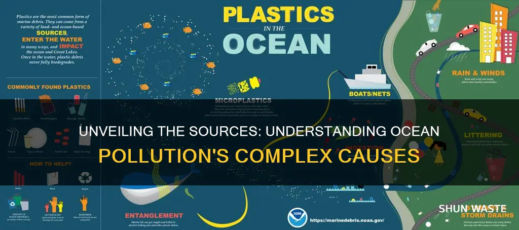 what causes ocean pollution essay