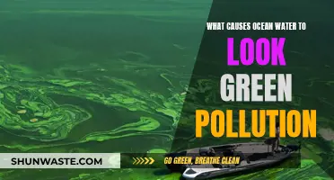 Unveiling the Green Ocean: Uncovering the Surprising Causes of Pollution-Induced Color