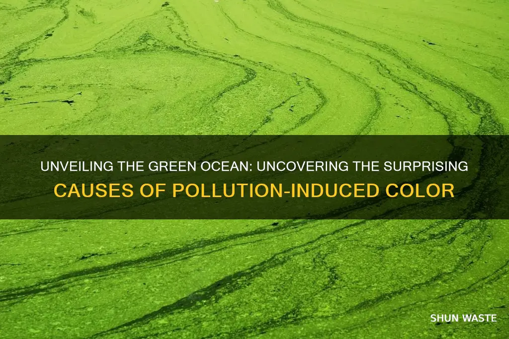 what causes ocean water to look green pollution