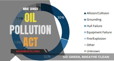 Unveiling the Origins: Understanding Oil Pollution Act Causes