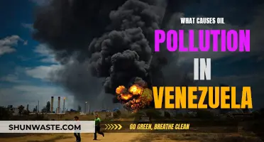 Oil's Dark Legacy: Venezuela's Environmental Crisis Explained