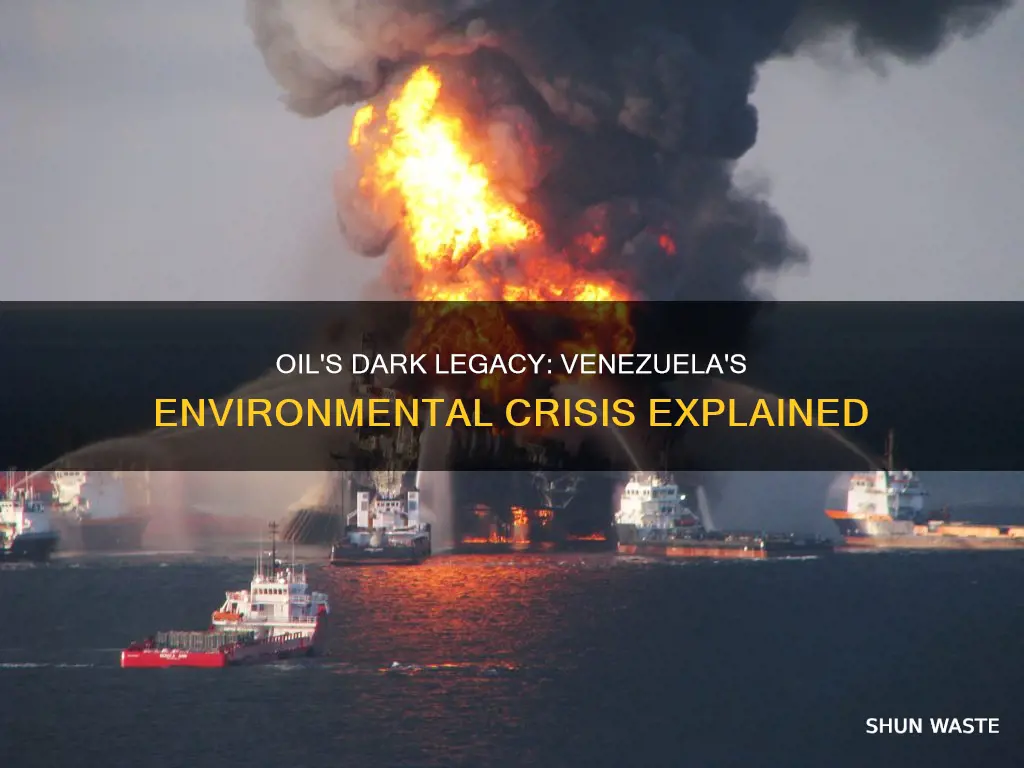 what causes oil pollution in venezuela