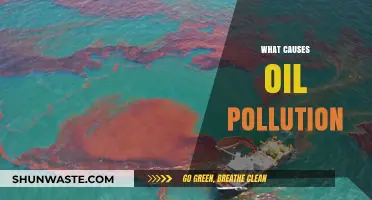 Unveiling the Sources: Understanding Oil Pollution's Origins