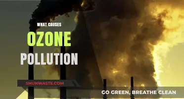 Unveiling the Sources: Understanding Ozone Pollution's Origins