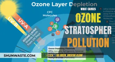 Unraveling the Mystery: What Fuels Ozone Layer Depletion