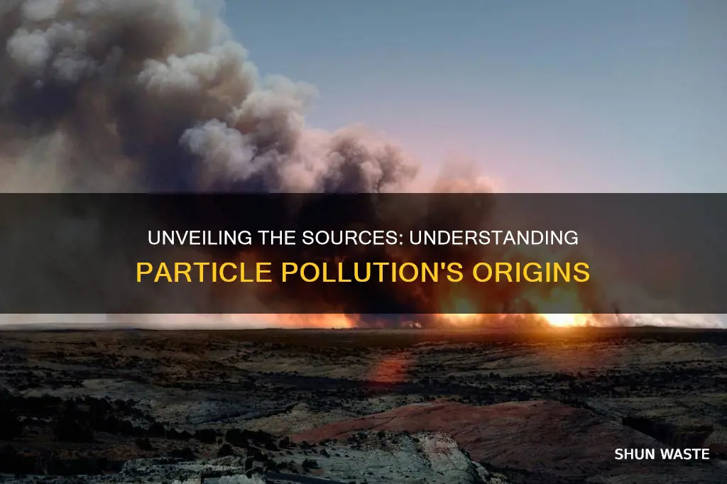 what causes particle pollution