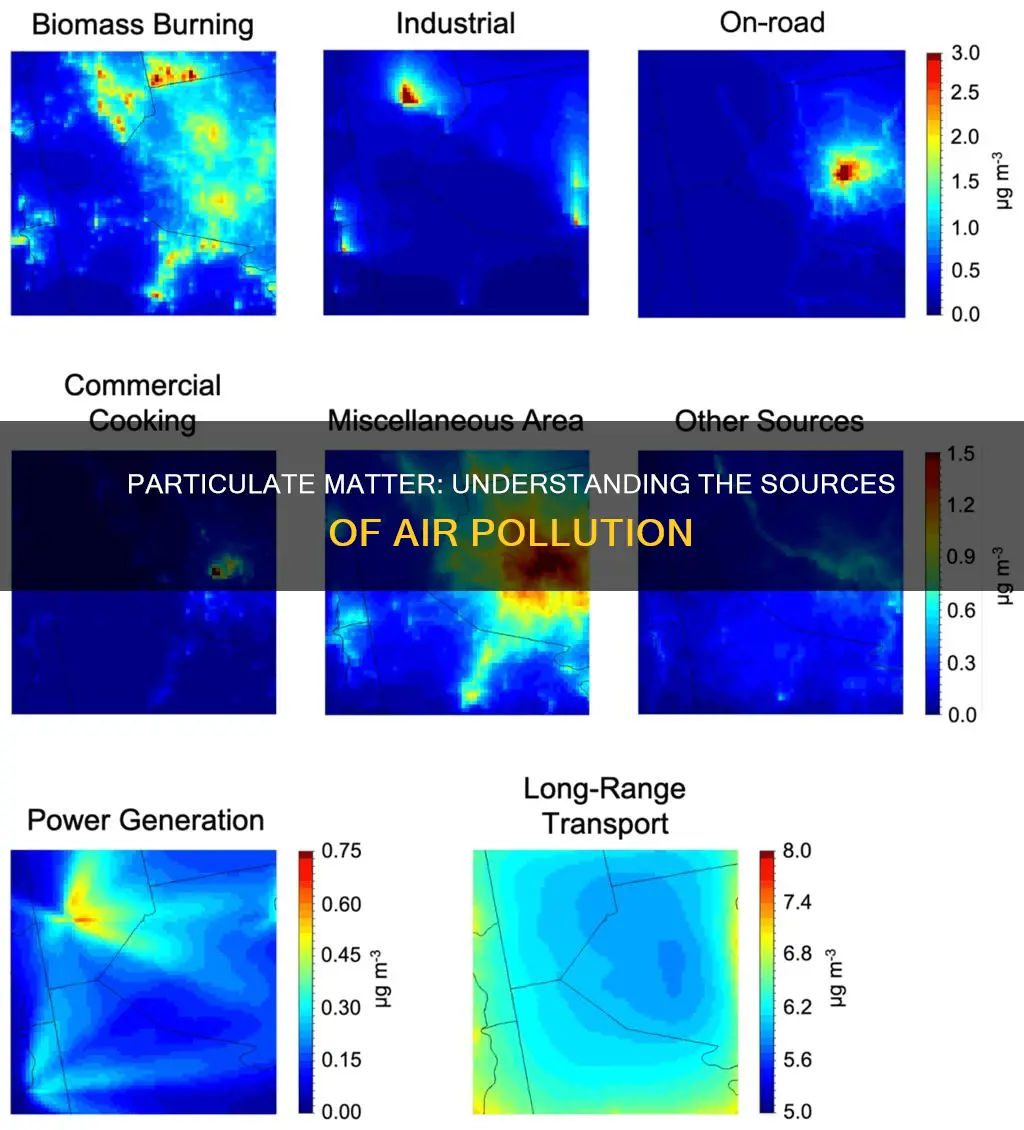 what causes particulate matter air pollution
