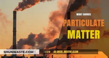 Unveiling the Sources: Understanding Particulate Matter Formation