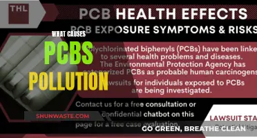 Unveiling PCB Pollution: Sources and Solutions