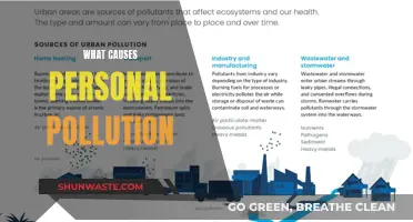 Unveiling the Hidden Sources of Personal Pollution