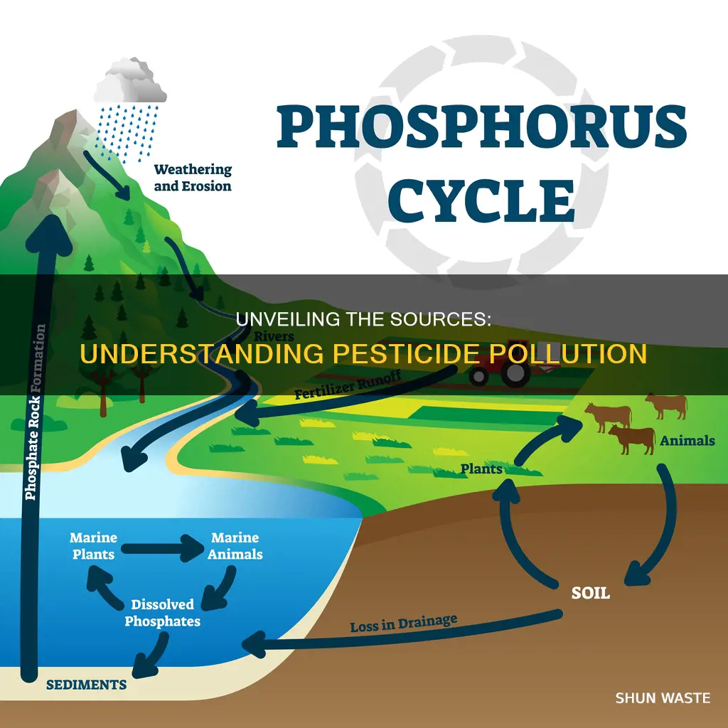 what causes pesticide pollution