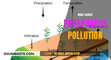 Unveiling the Sources: Understanding Phosphorus Pollution