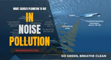 Plankton's Plight: Unraveling the Impact of Noise Pollution on Marine Life