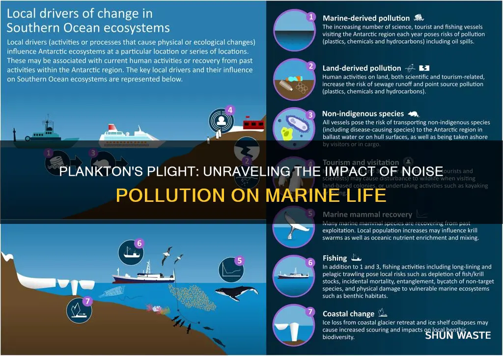 what causes plankton to die in noise pollution