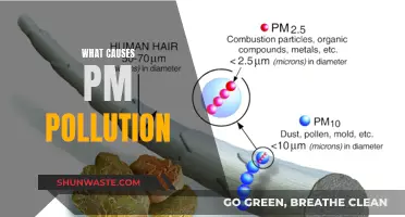 Unveiling the Sources: Understanding PM Pollution Causes