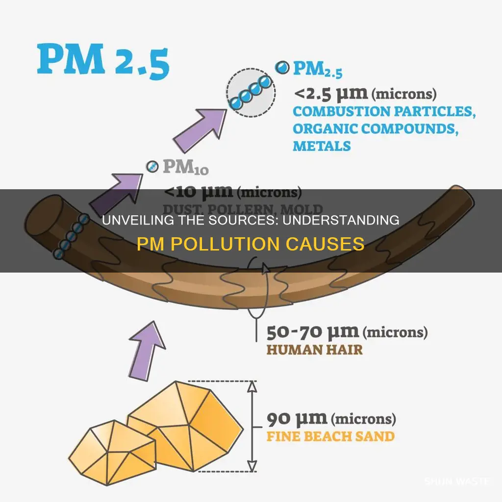 what causes pm pollution