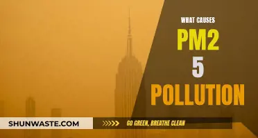 Unveiling the Sources: Understanding PM2.5 Pollution