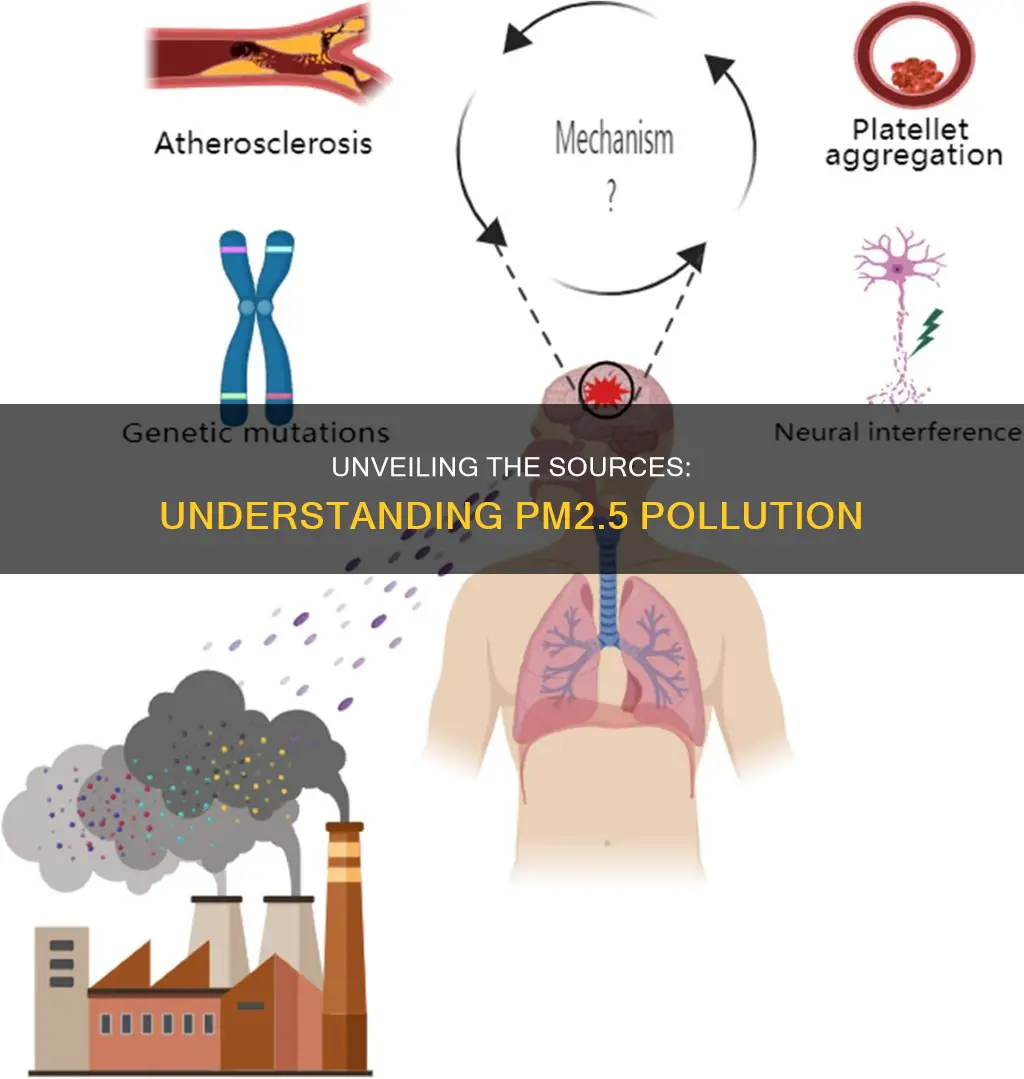 what causes pm2 5 pollution