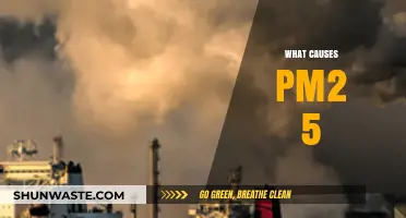 Unveiling the Sources: Understanding PM2.5 Pollution