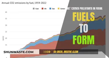 Unveiling the Origins: Why Fossil Fuels Contain Pollutants