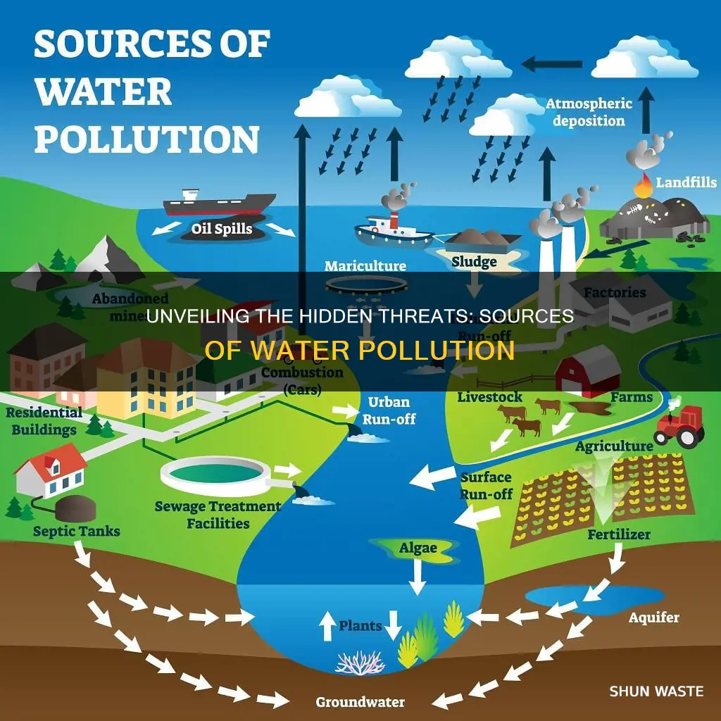 what causes pollute the nation