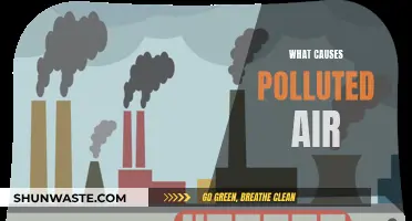 Unveiling the Sources: Understanding Air Pollution Causes