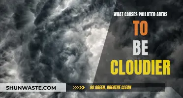 Cloudy Skies: Unveiling the Link Between Pollution and Weather