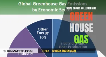 Unveiling the Sources: Understanding Pollution and Greenhouse Gas Emissions