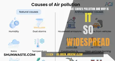 Unveiling the Sources: Understanding the Widespread Impact of Pollution