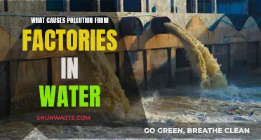 Unveiling the Industrial Water Polluters: A Deep Dive