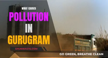 Unveiling Gurugram's Pollution: Sources and Solutions