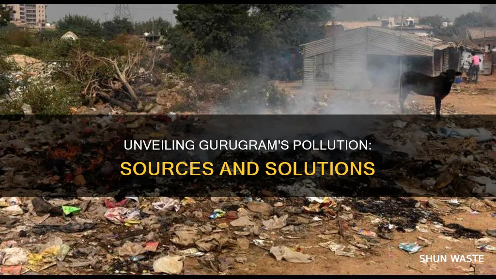 what causes pollution in gurugram