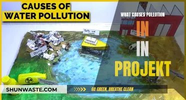 Unveiling the Hidden Sources of Pollution in Industrial Projects