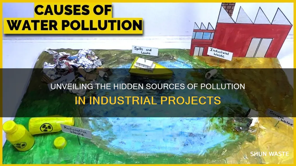 what causes pollution in in projekt