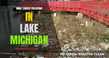 Unveiling the Sources: Why Lake Michigan Faces Pollution