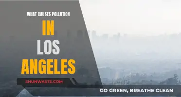 Unveiling LA's Air Pollution: Sources and Solutions