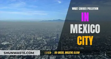 Unveiling Mexico City's Air Pollution: Sources and Solutions